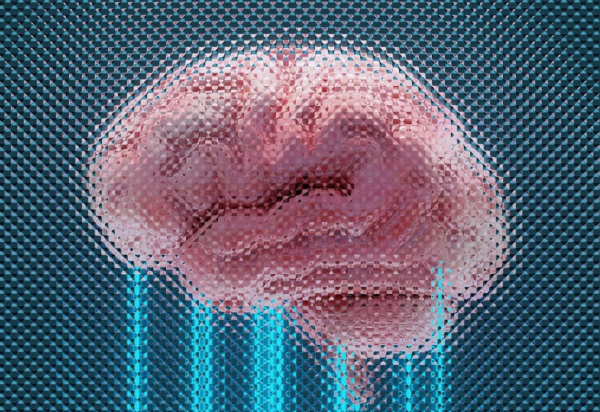 Двухлетний мальчик Джозеф обладает невероятно высоким IQ: как проявляется гениальность Двухлетний мальчик Джозеф обладает невероятно высоким IQ: как проявляется гениальность